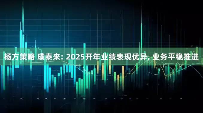 杨方策略 璞泰来: 2025开年业绩表现优异, 业务平稳推进