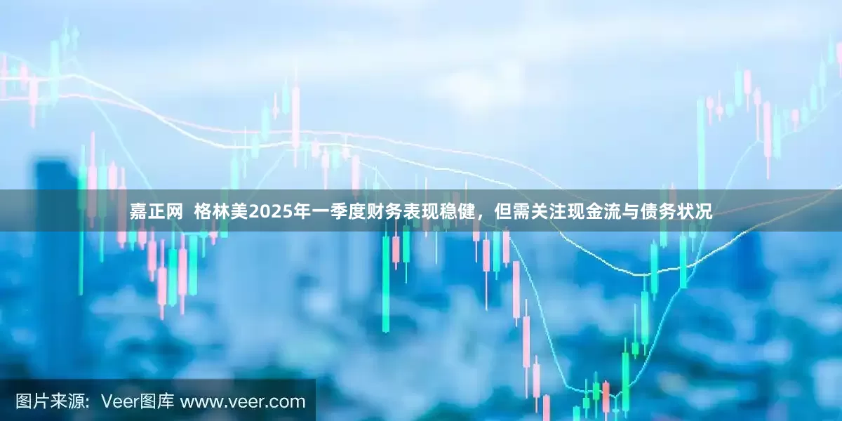 嘉正网  格林美2025年一季度财务表现稳健，但需关注现金流与债务状况
