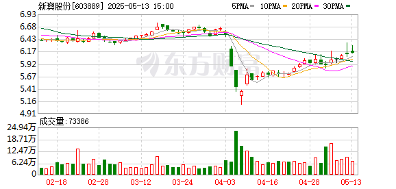 鼎红金投 新澳股份：2024年年度股东会决议公告