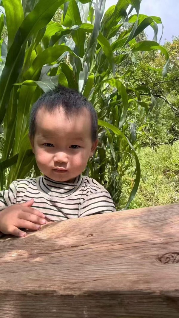 浩鼎中心 2岁女童家门口失踪3天: 调用无人机、警犬等搜寻无果, 当地征集线索